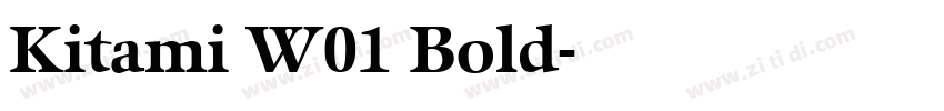 Kitami W01 Bold字体转换